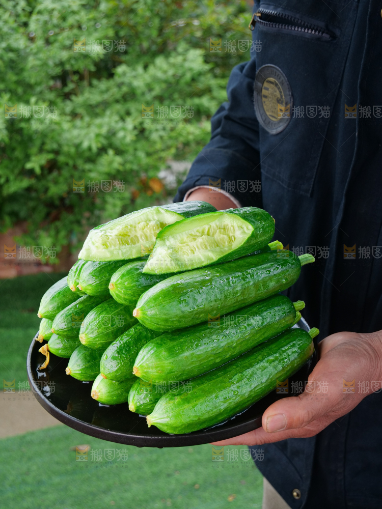水果黄瓜