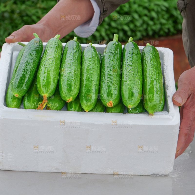 水果黄瓜