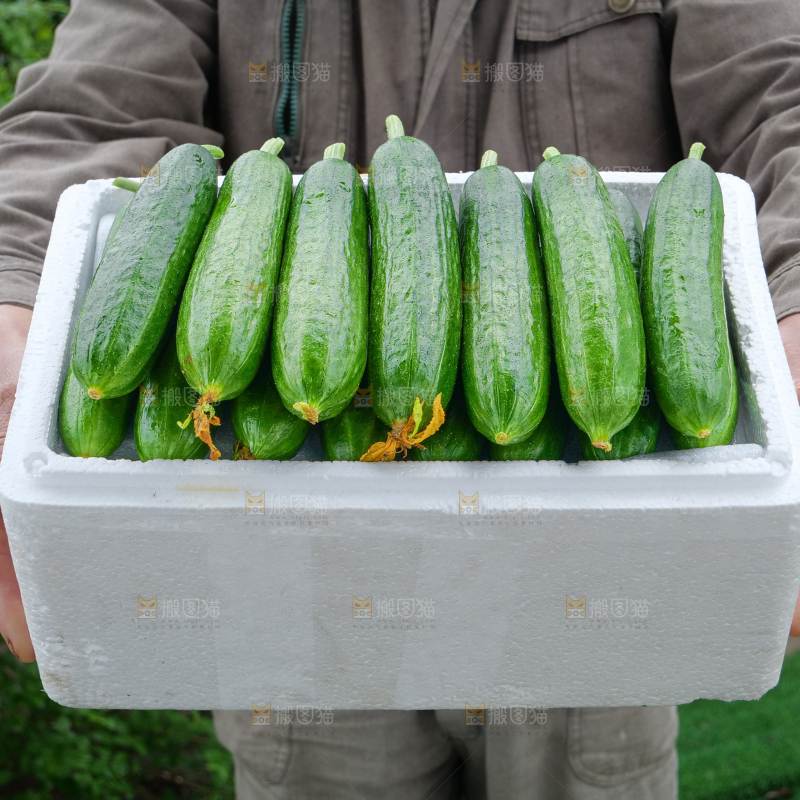 水果黄瓜