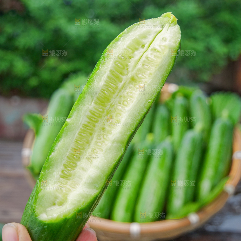 水果黄瓜