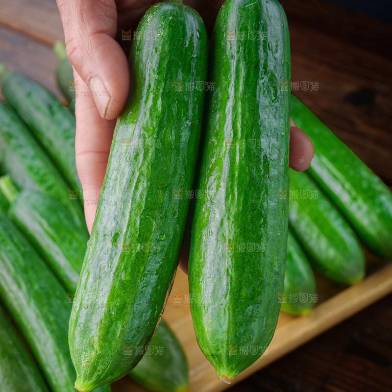 水果黄瓜