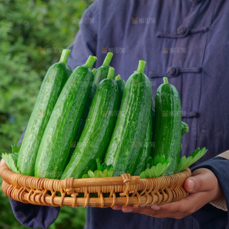 水果黄瓜