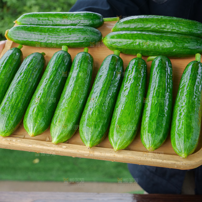 水果黄瓜
