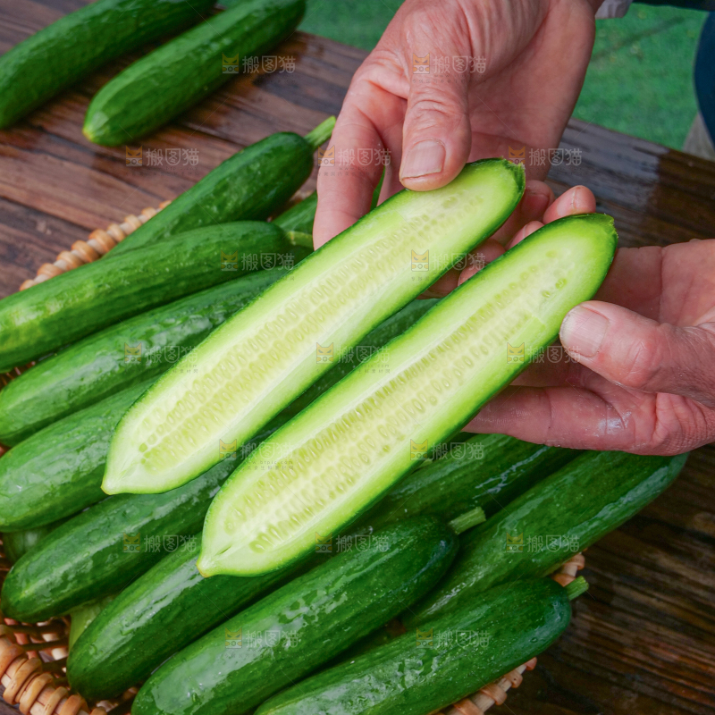 水果黄瓜