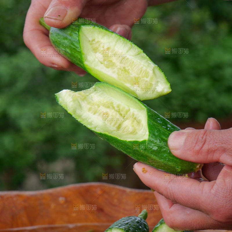 水果黄瓜