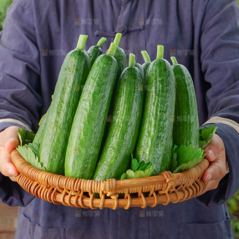 水果黄瓜