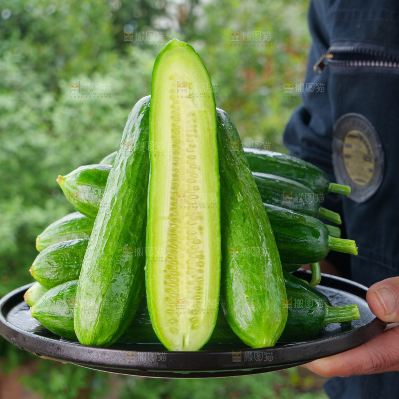 水果黄瓜