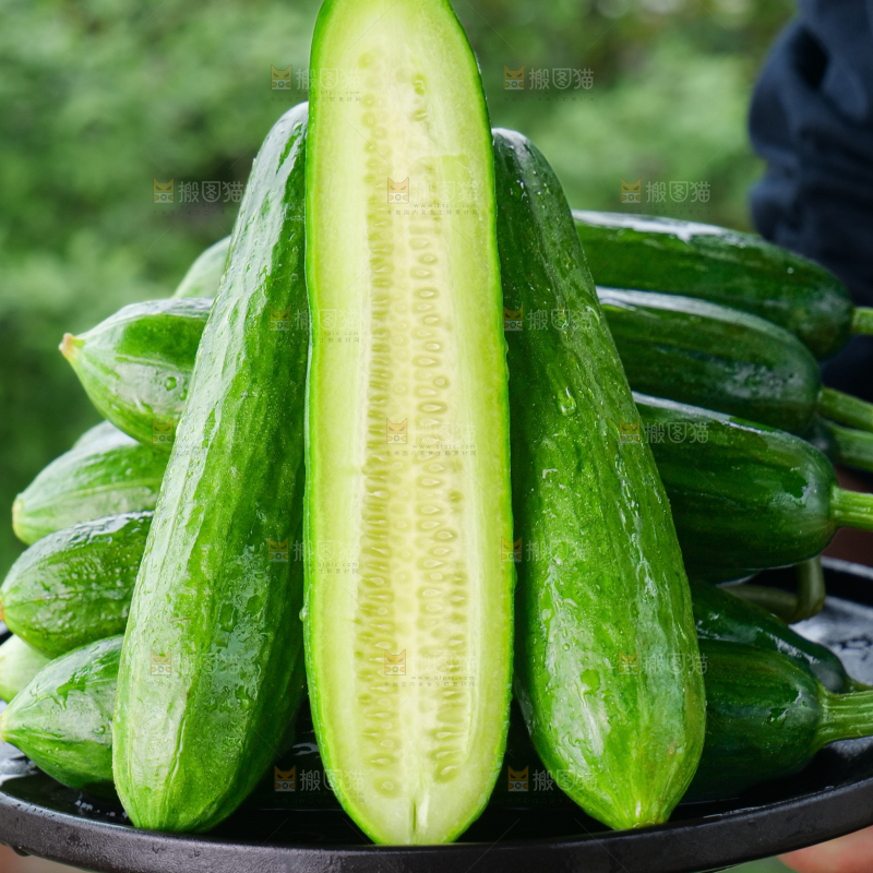 水果黄瓜