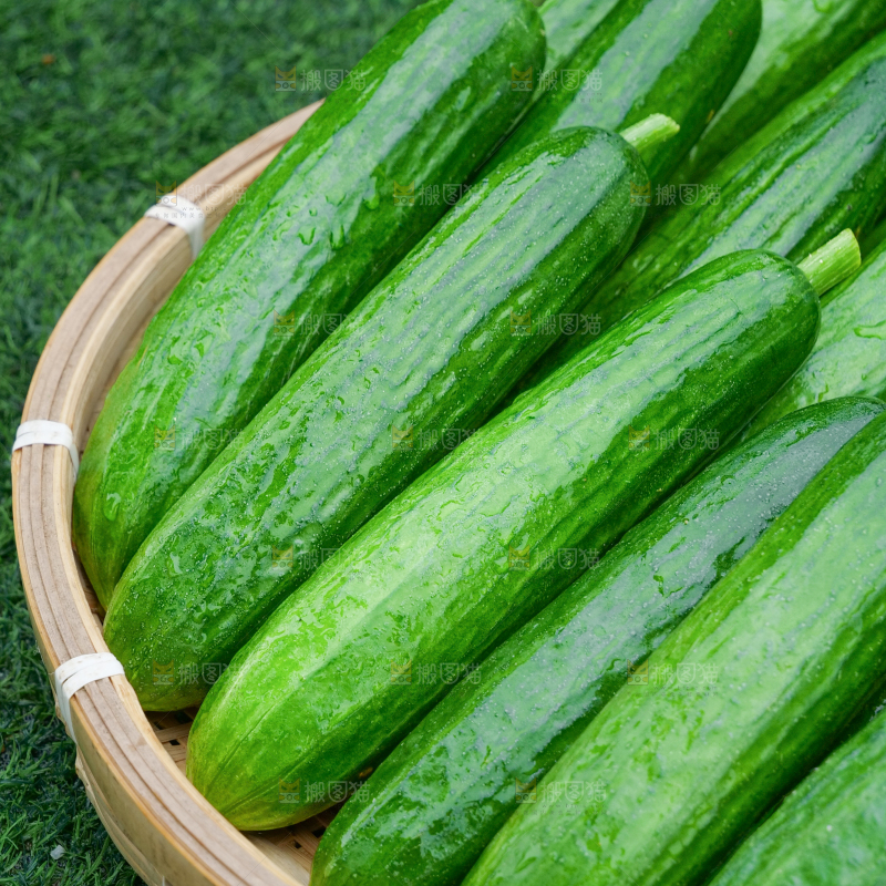 水果黄瓜