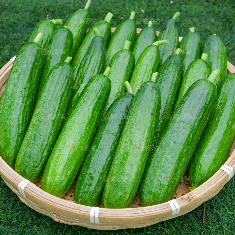 水果黄瓜