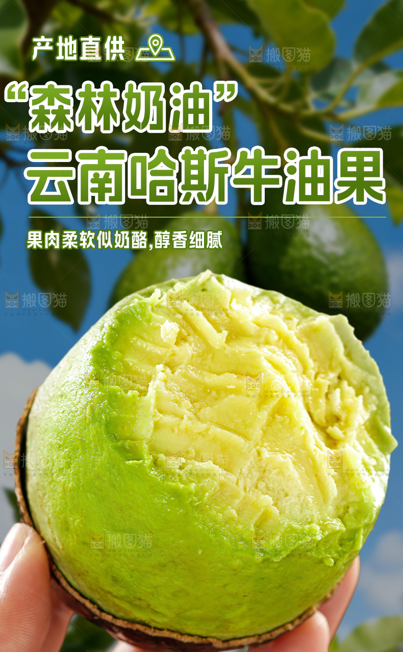 牛油果详情页