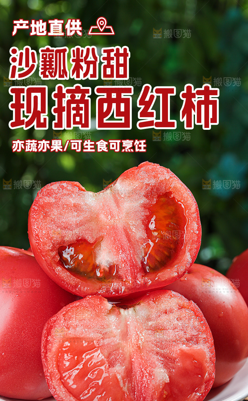 普罗旺斯西红柿详情页