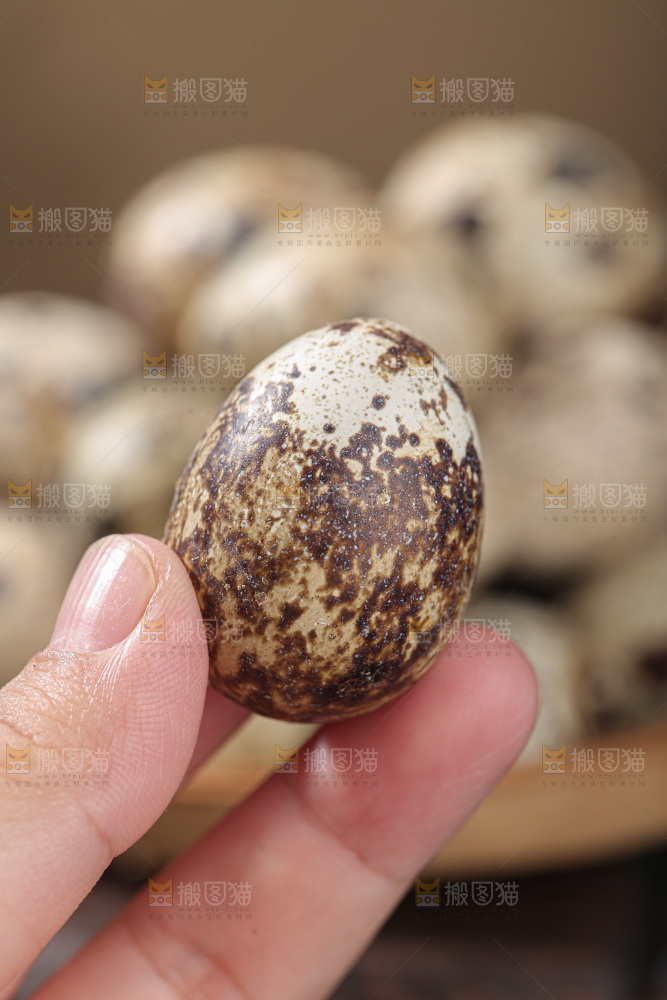 鹌鹑蛋
