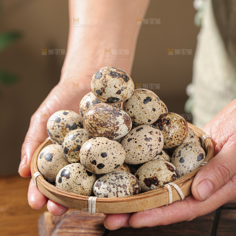 鹌鹑蛋