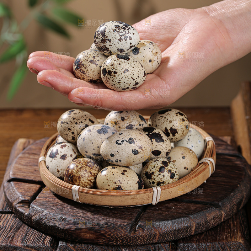 鹌鹑蛋