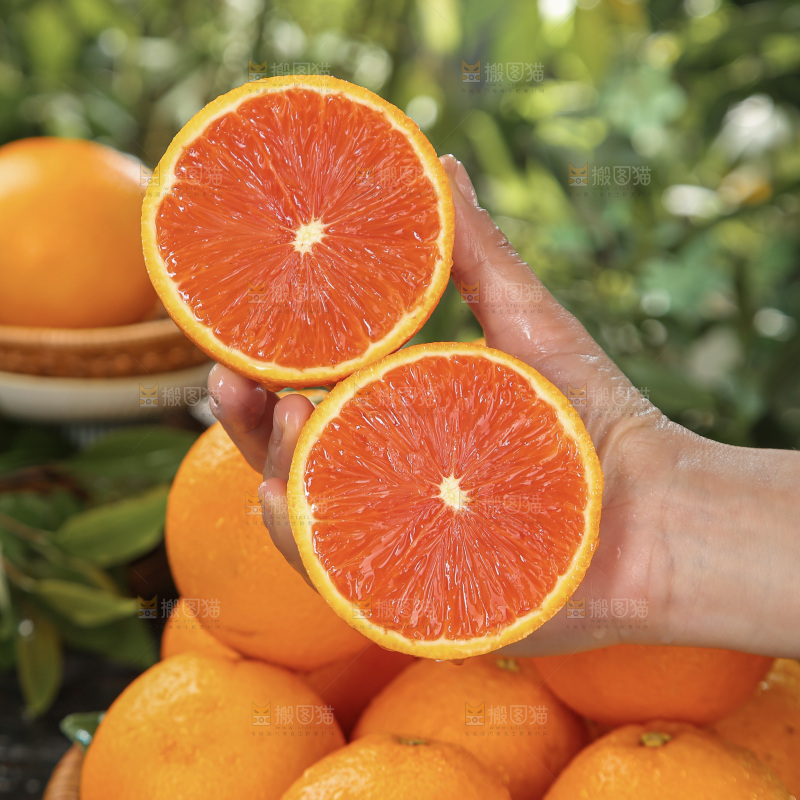 血橙