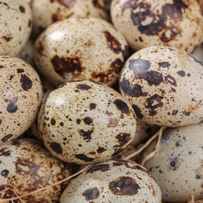 鹌鹑蛋