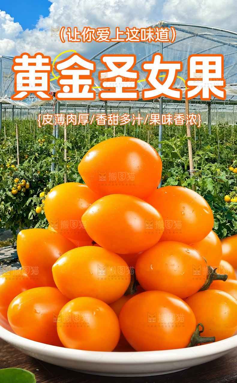 黄金圣女果详情页