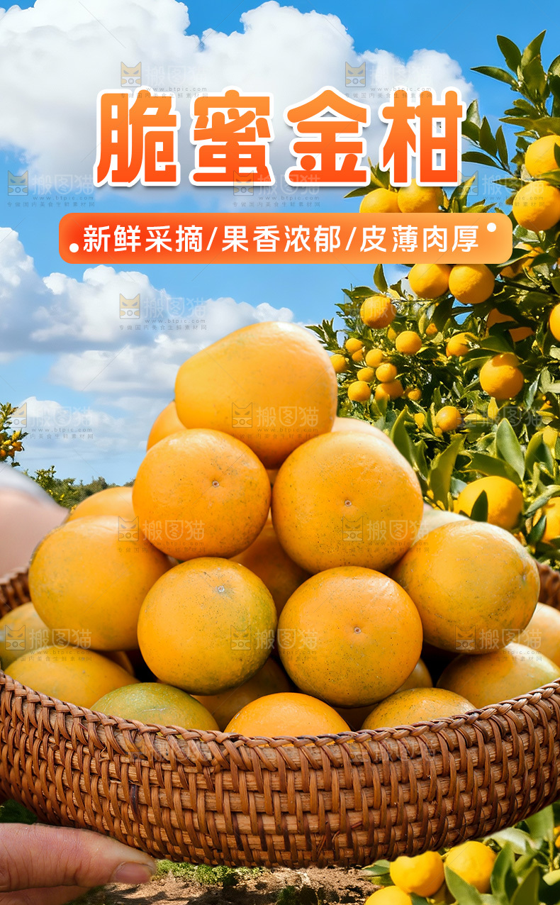 脆蜜金柑详情页