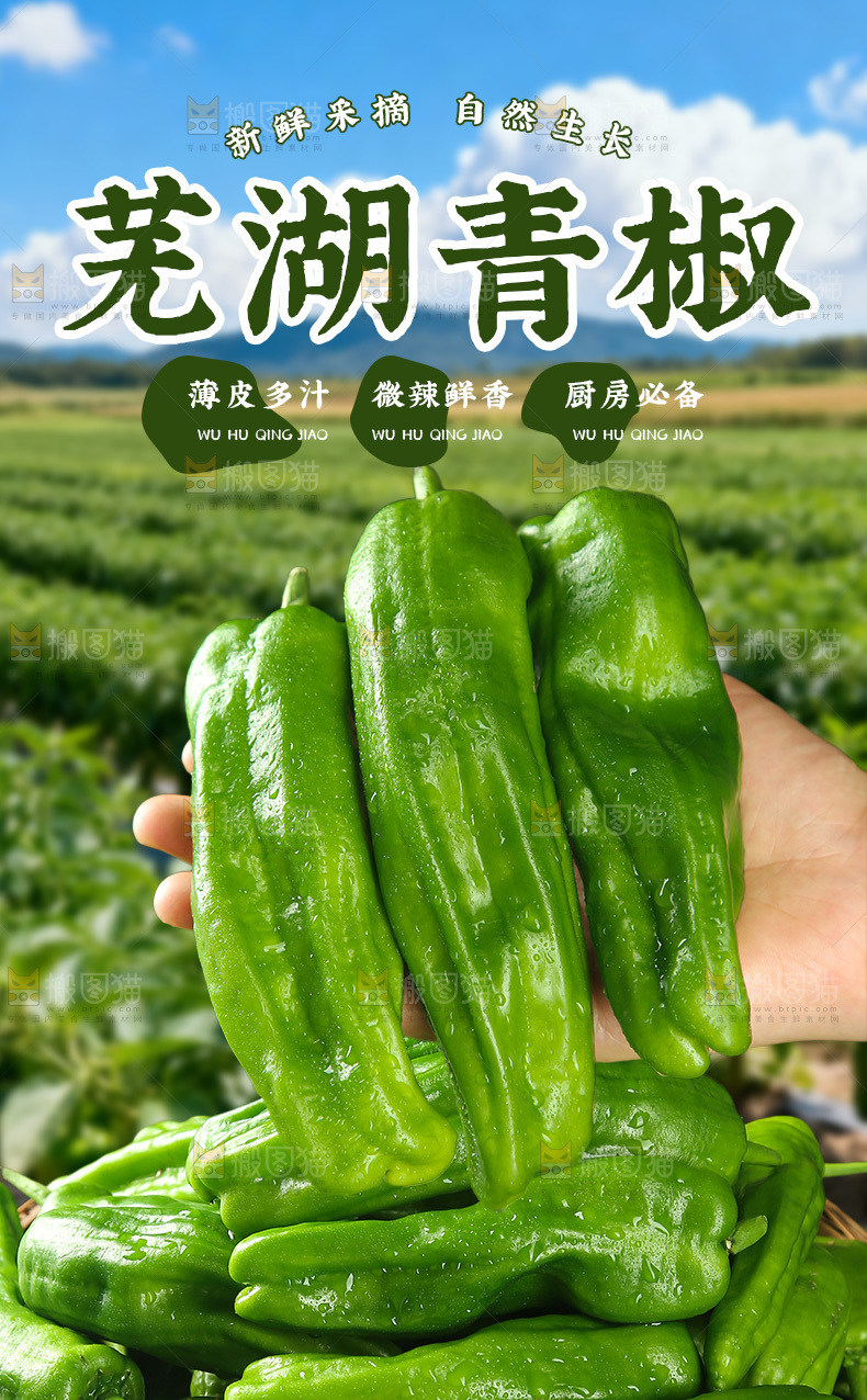 青椒详情页