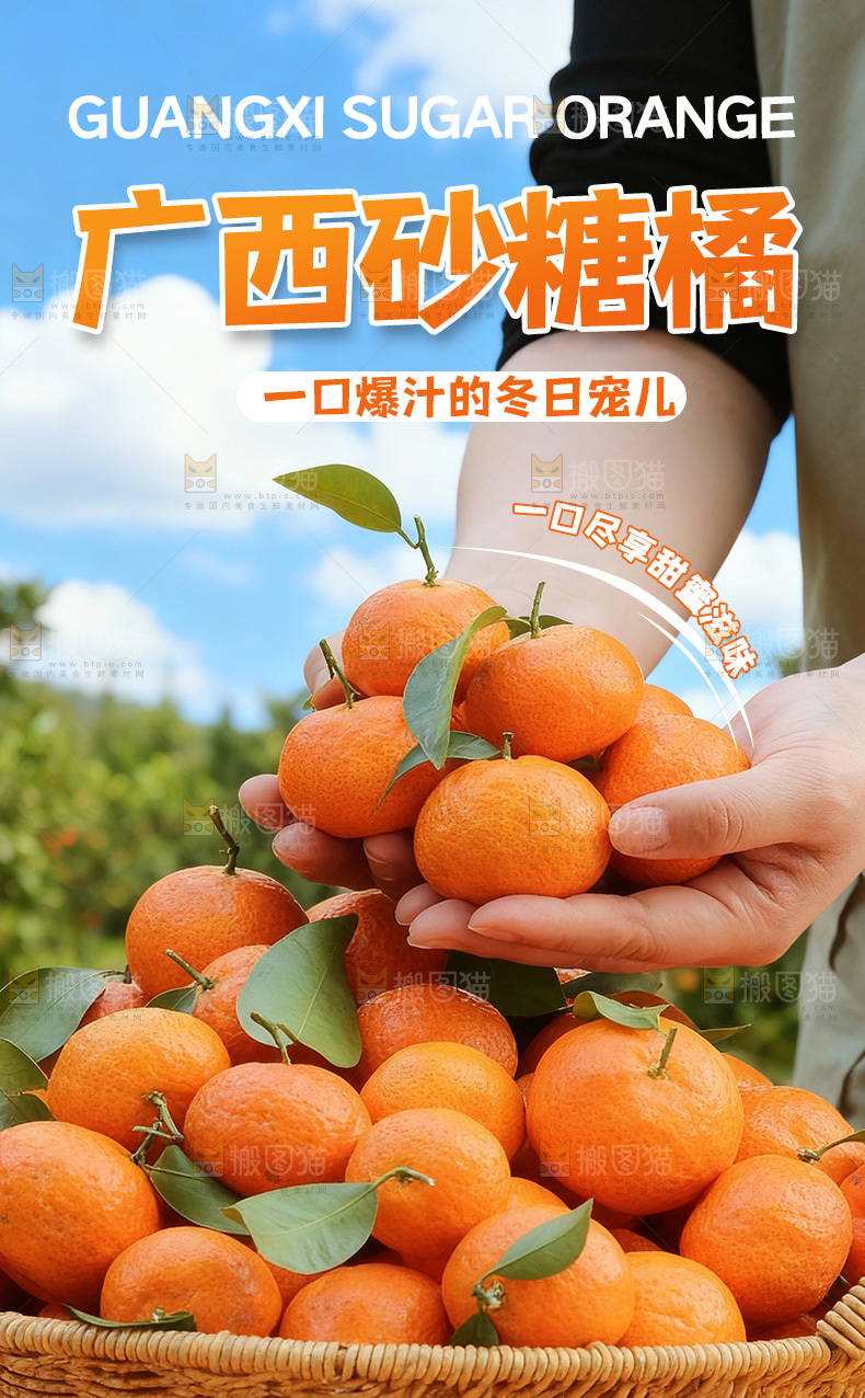 砂糖桔详情页