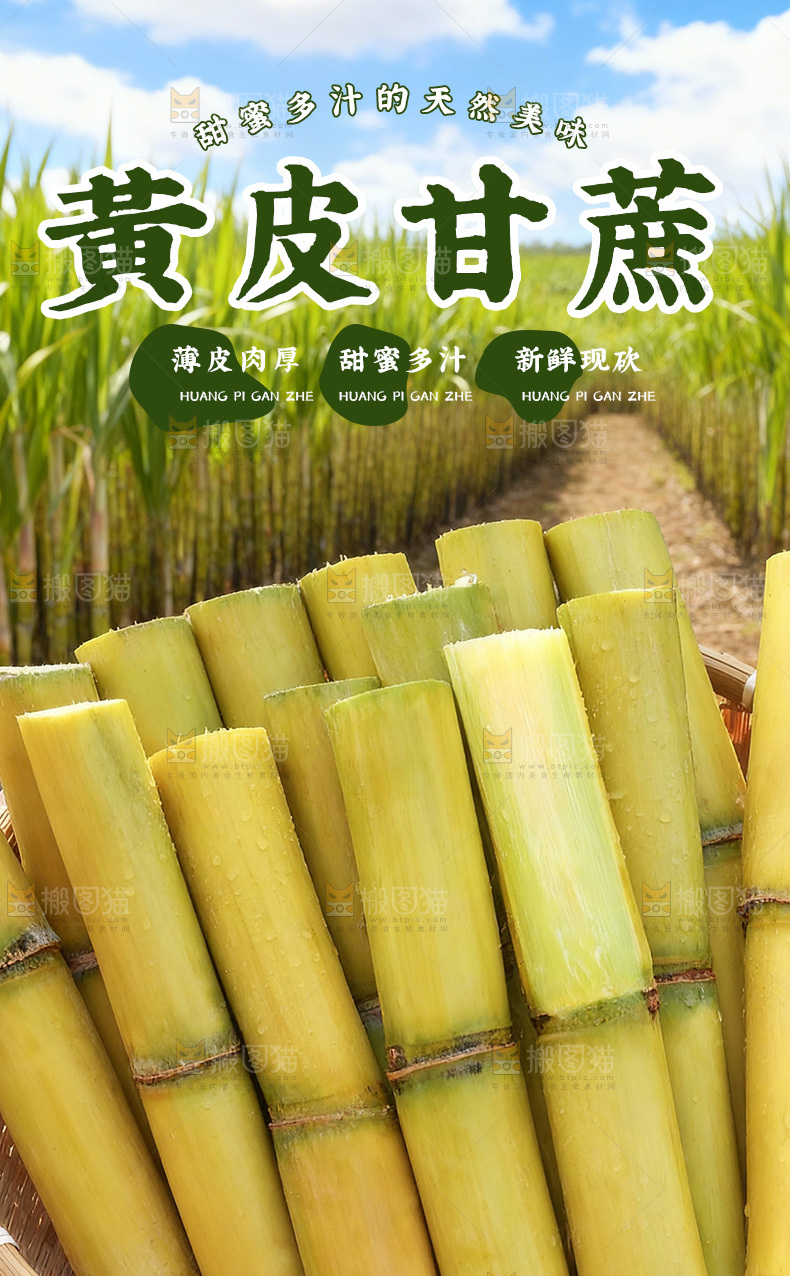 黄皮甘蔗详情页