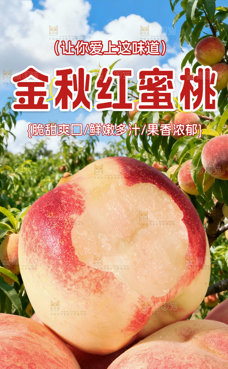 金秋红蜜桃详情页
