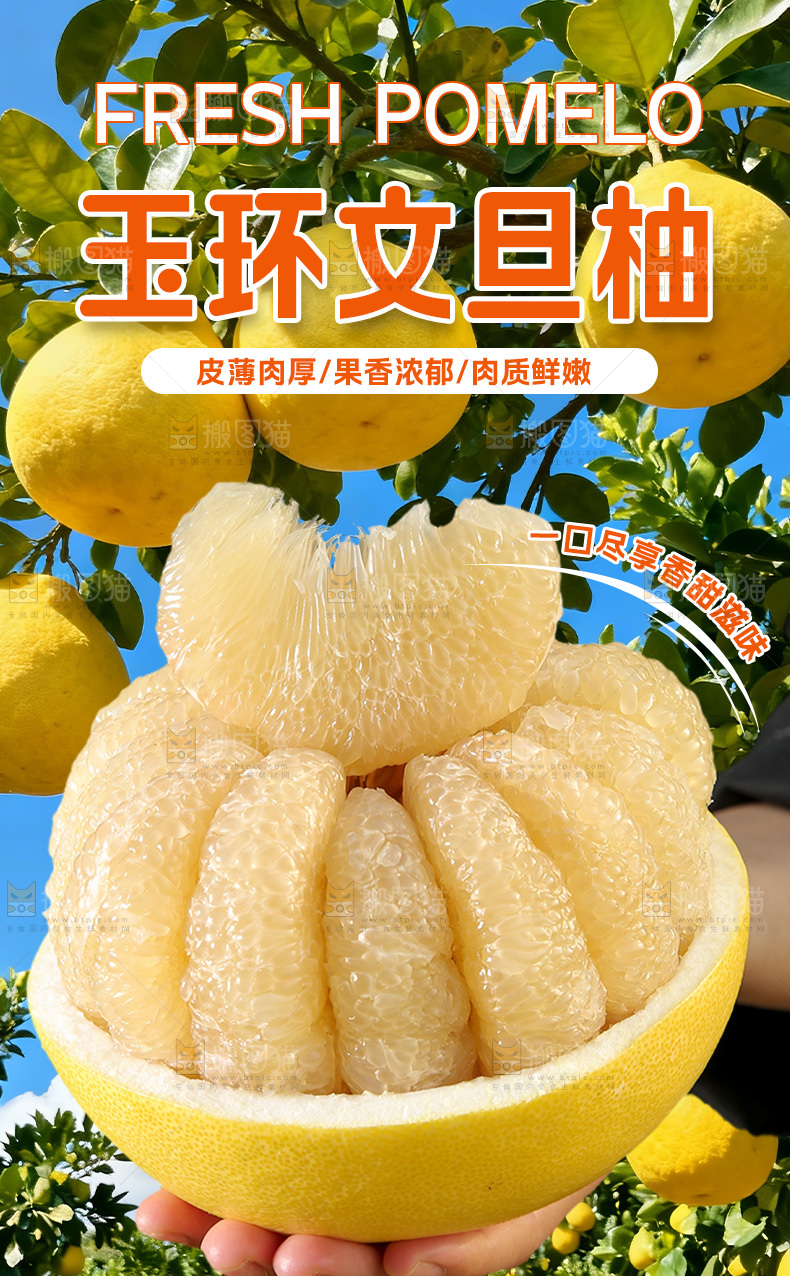 玉环文旦柚详情页