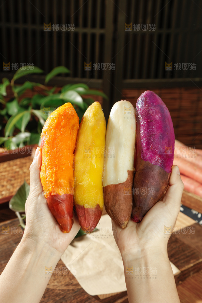 四色蜜薯
