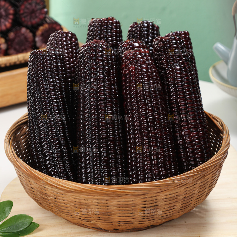 黑糯玉米