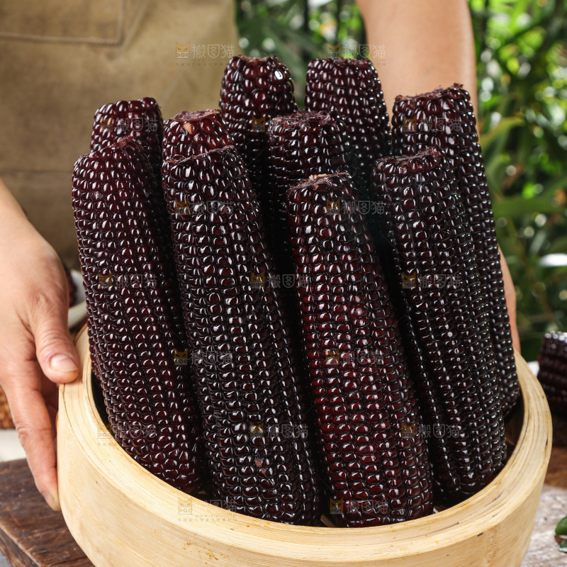 黑糯玉米