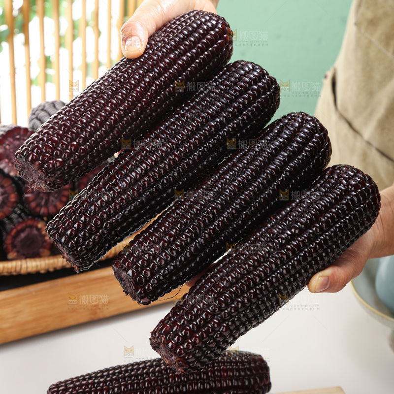 黑糯玉米