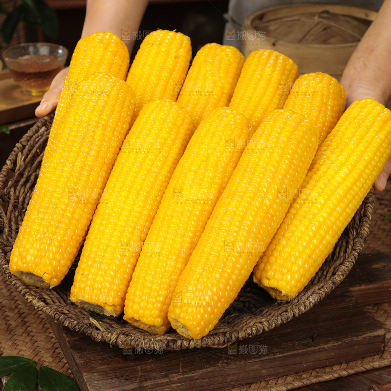 黄糯玉米