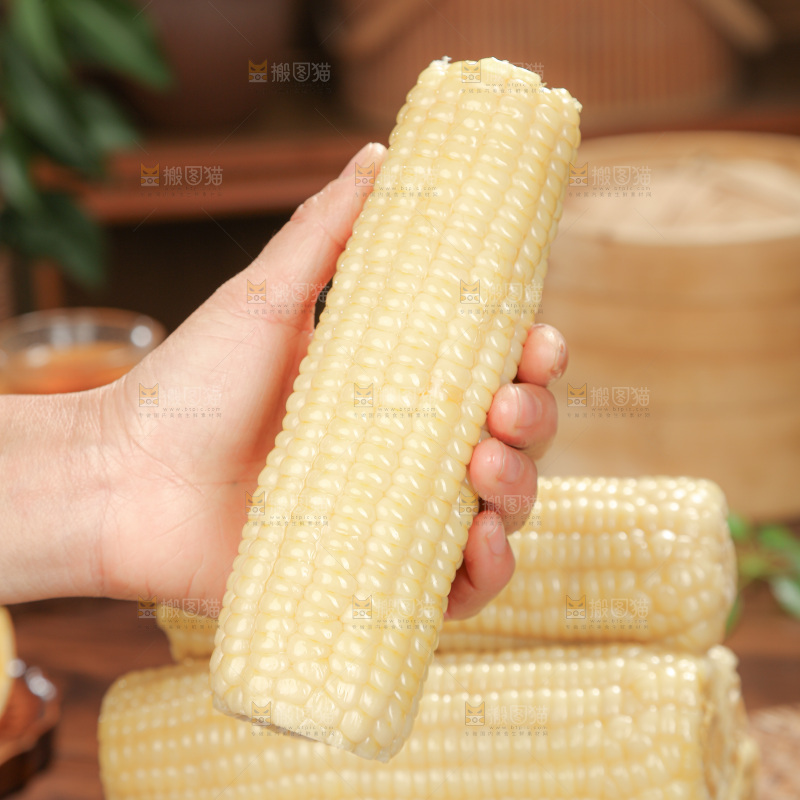 白糯玉米