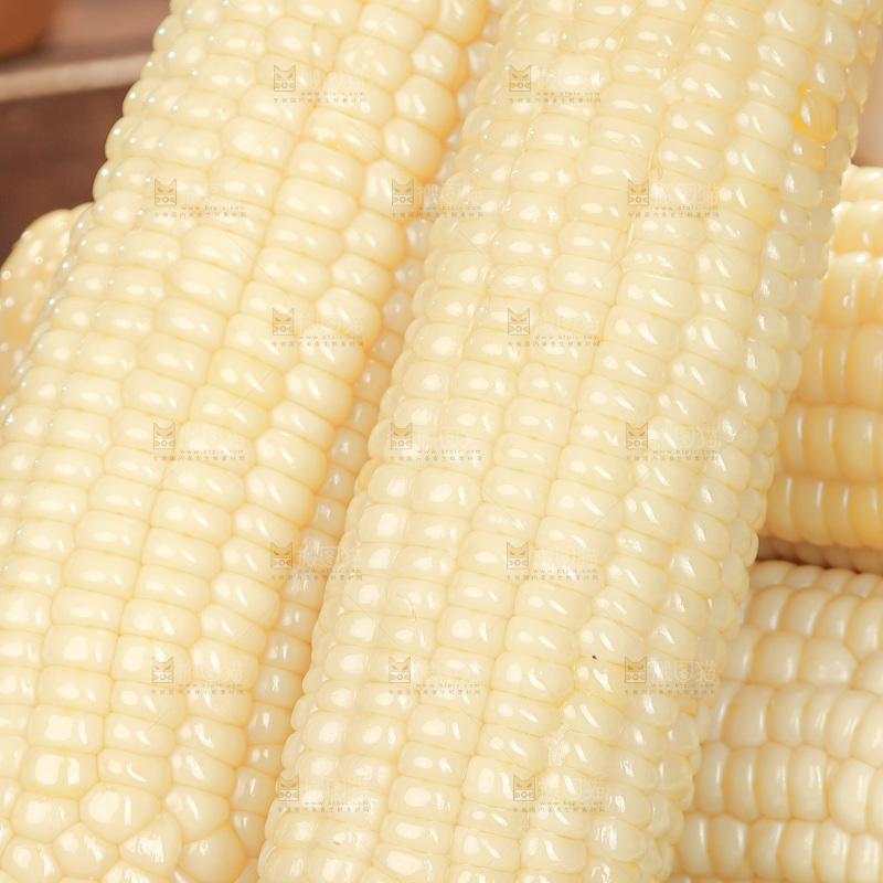 白糯玉米