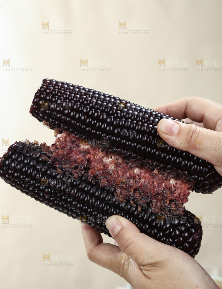 黑糯玉米