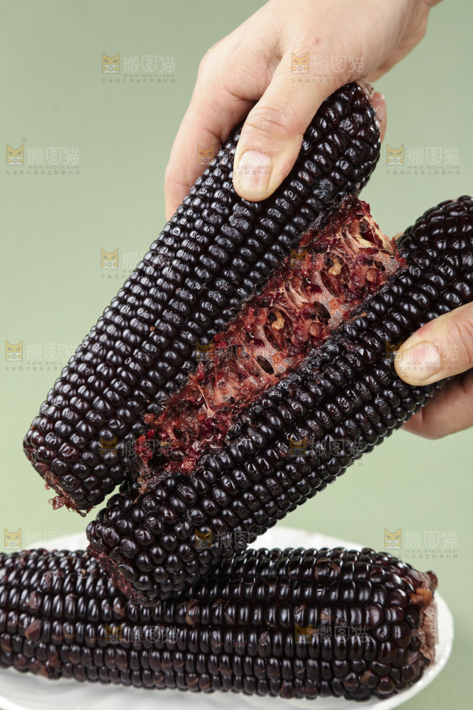 黑糯玉米