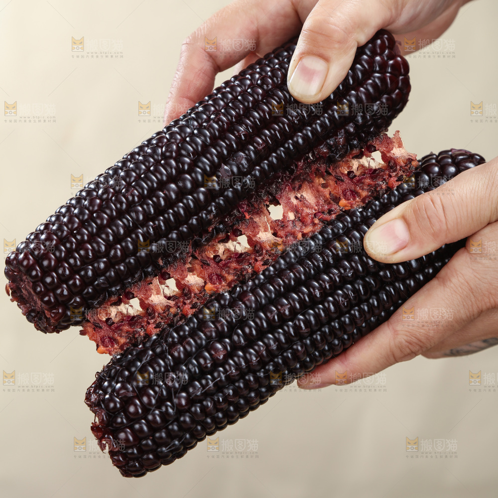 黑糯玉米