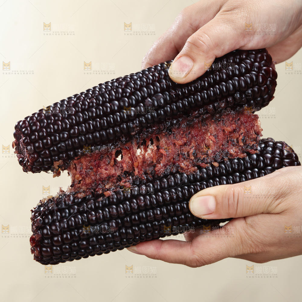 黑糯玉米