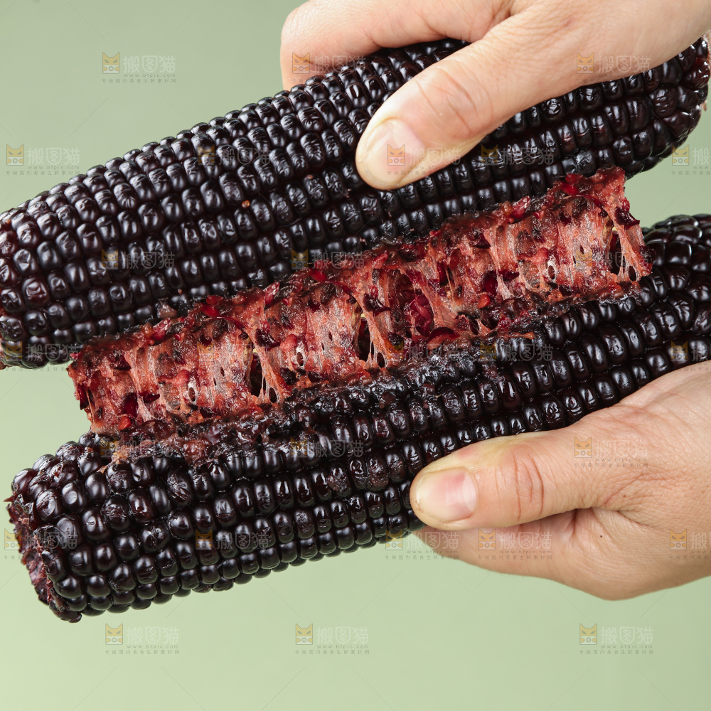 黑糯玉米