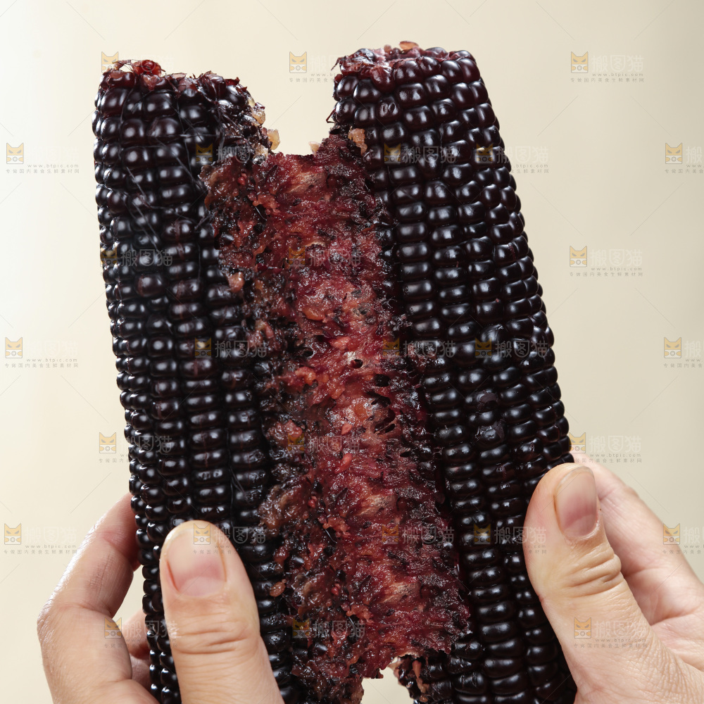 黑糯玉米