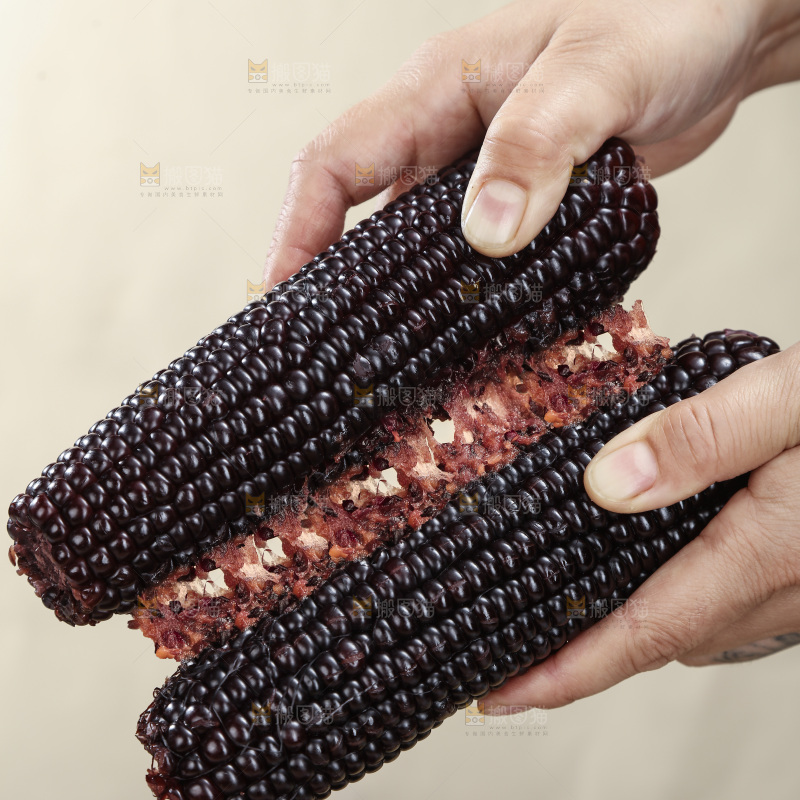 黑糯玉米