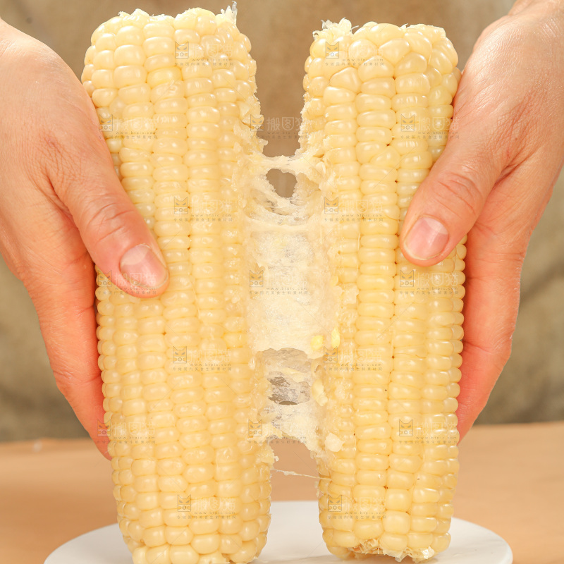 白糯玉米