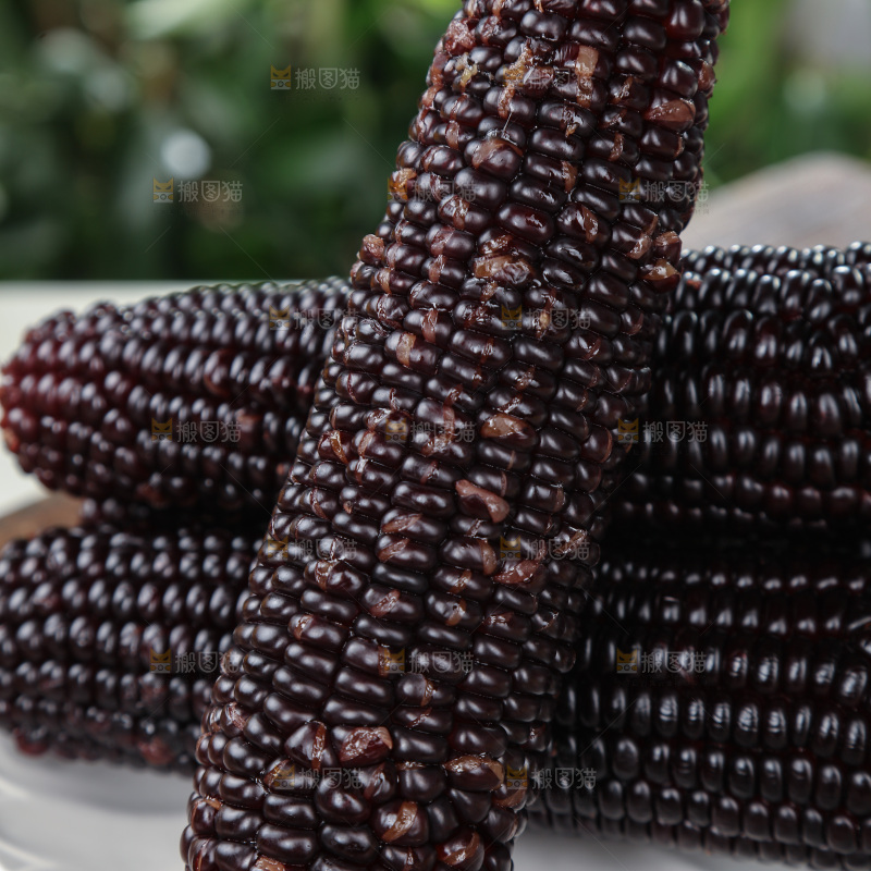 黑糯玉米