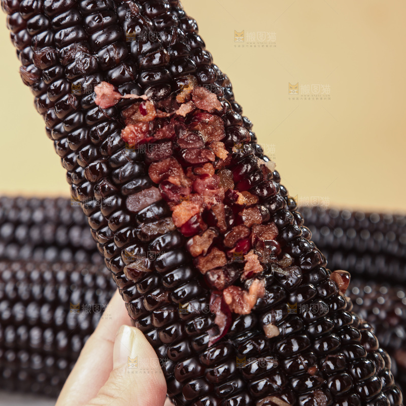 黑糯玉米