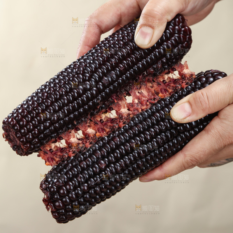黑糯玉米