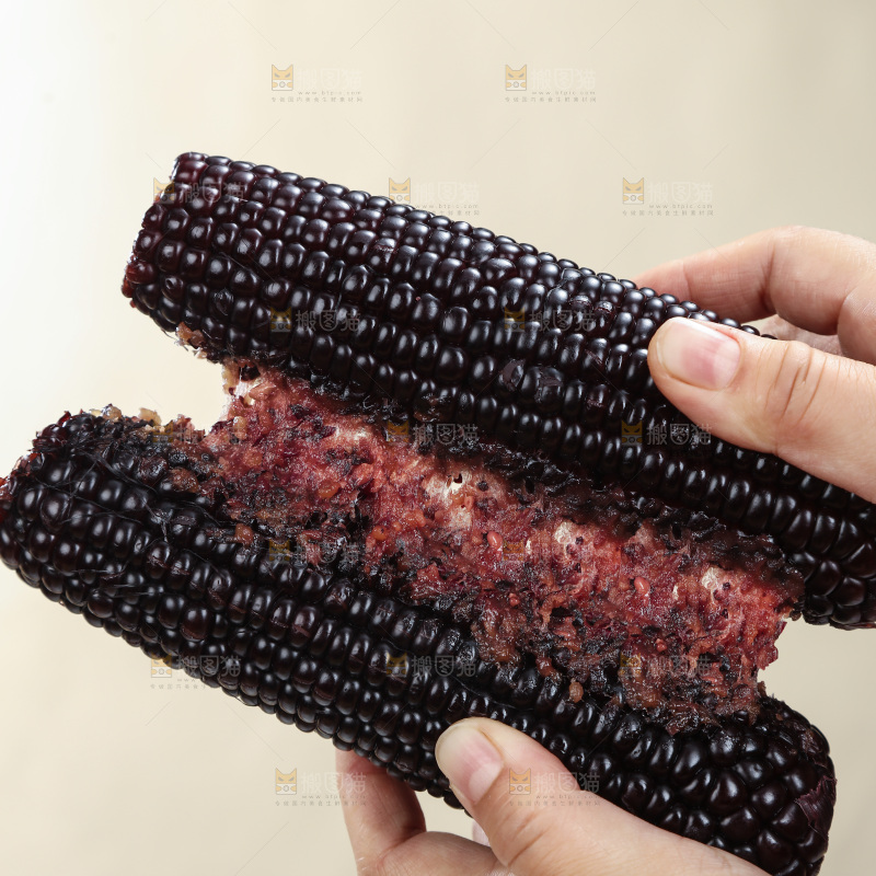 黑糯玉米