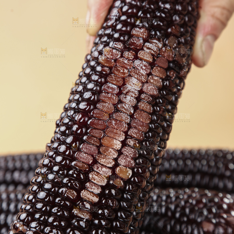 黑糯玉米