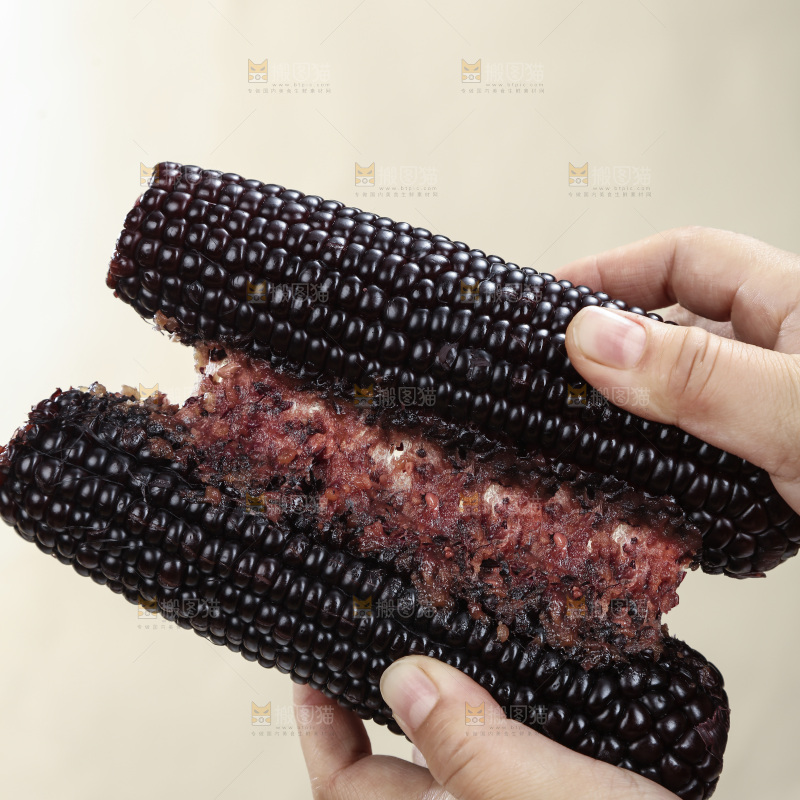 黑糯玉米