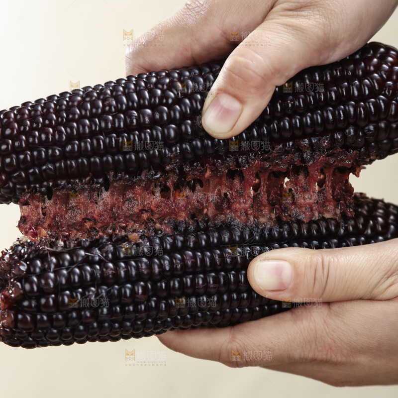 黑糯玉米